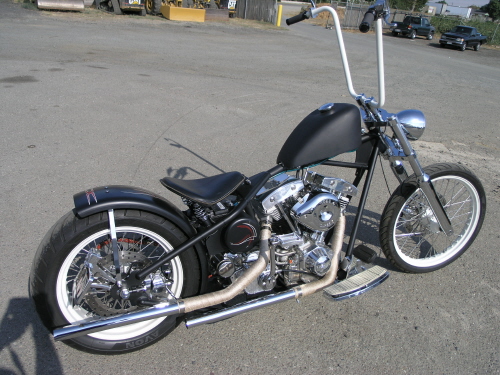 http://www.usabobbers.com/wp-content/uploads/2011/07/2006-xtreme-bobber-2.jpeg